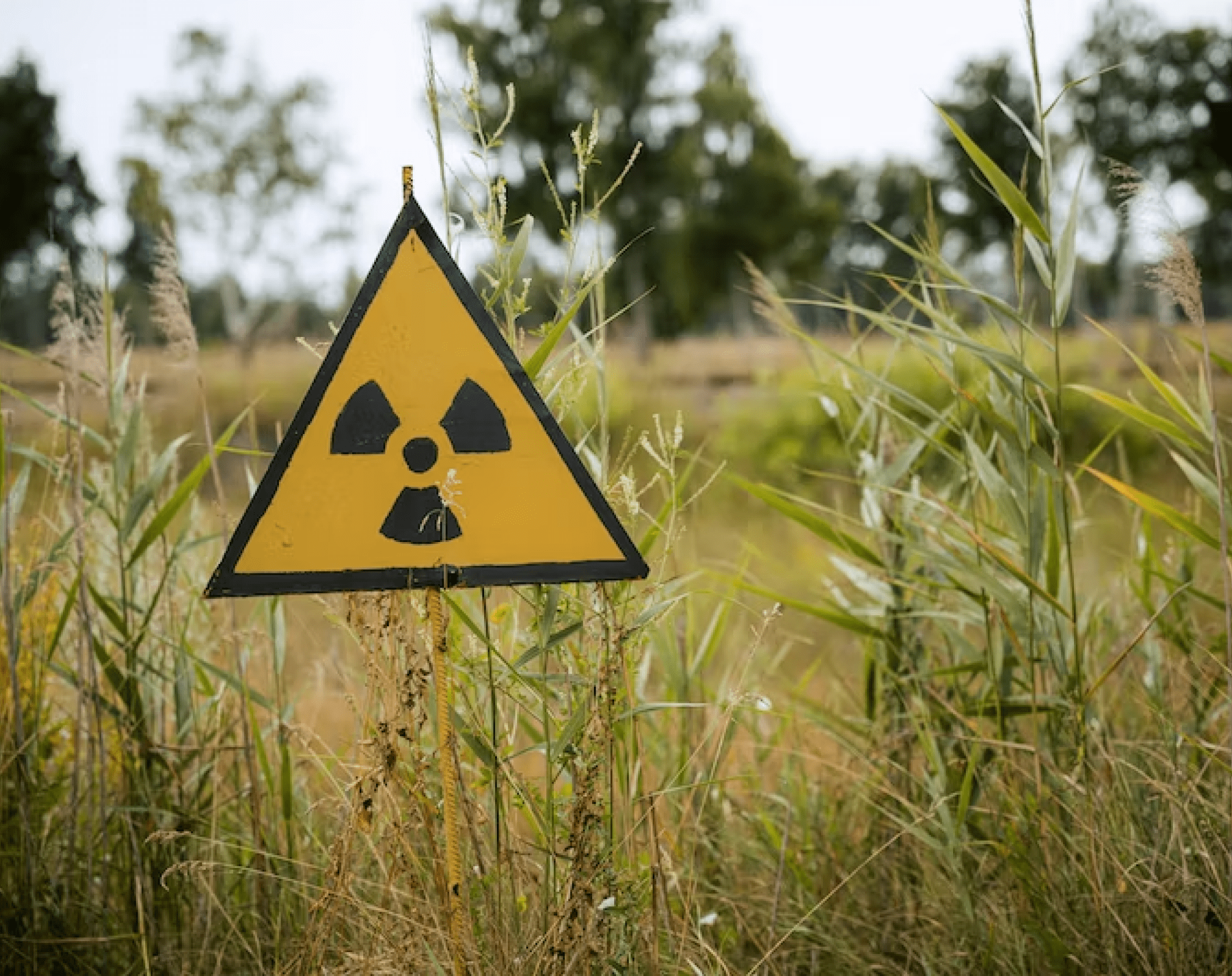 Missing radioactive capsule found in Australia Missing radioactive capsule found in Australia